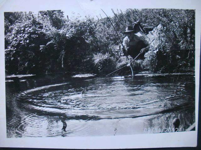 foto bune. - 12383914144105053251511079373080n.jpg